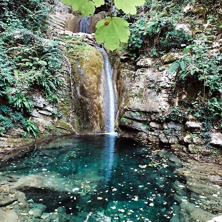 Hotel Pineta Cagli Kültér fotó