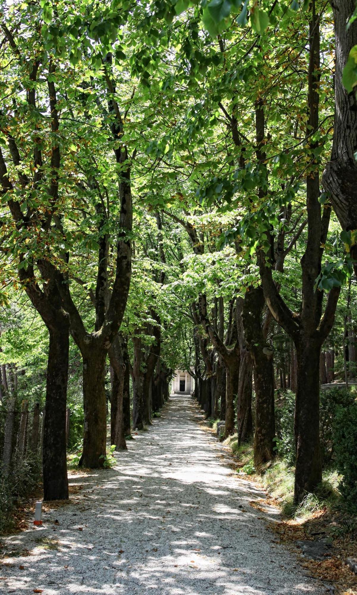 Hotel Pineta Cagli Kültér fotó